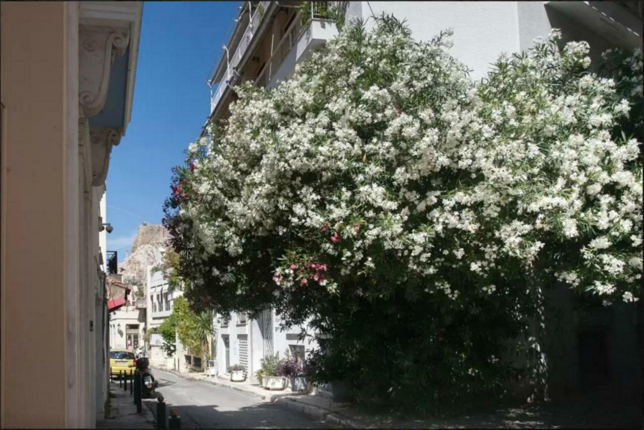 Vintage Charm By The Acropolis! Lejlighed Athen Eksteriør billede